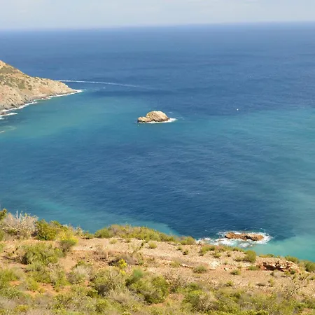 Bouganville * بالاتزو