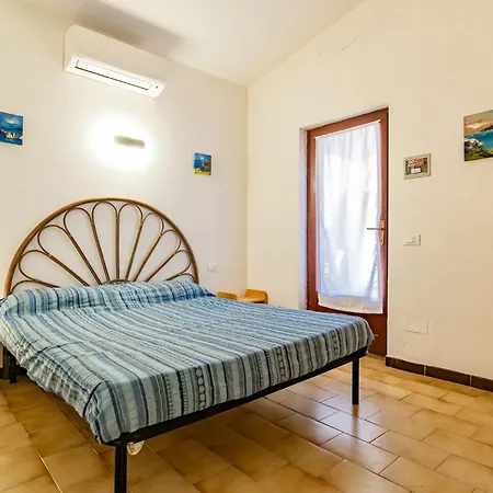 Bouganville بالاتزو