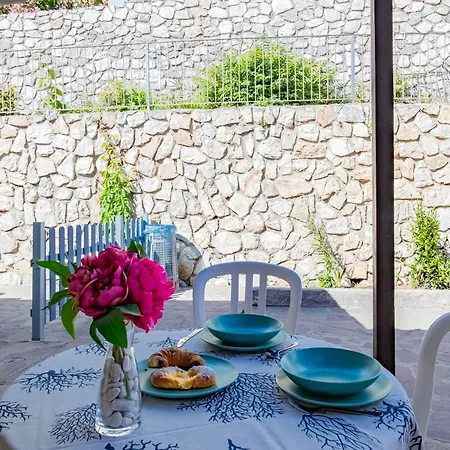 Bouganville بالاتزو