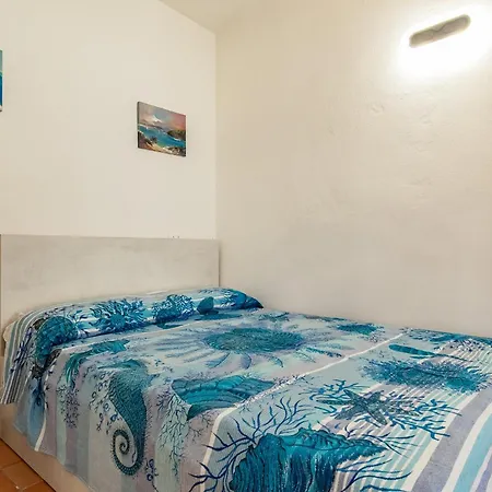 Bouganville * Palazzo (Livorno)