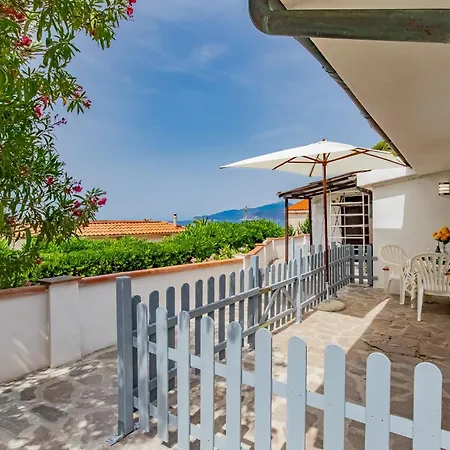 Bouganville Appartamento Palazzo (Livorno)